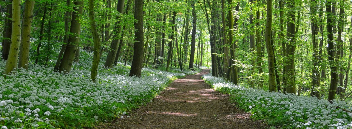 Välj den väg som gör dig lycklig